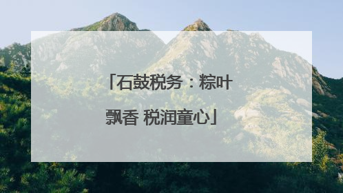 石鼓税务：粽叶飘香 税润童心