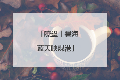 瞭望丨碧海蓝天映煤港