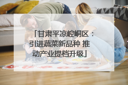 甘肃平凉崆峒区：引进蔬菜新品种 推动产业提档升级