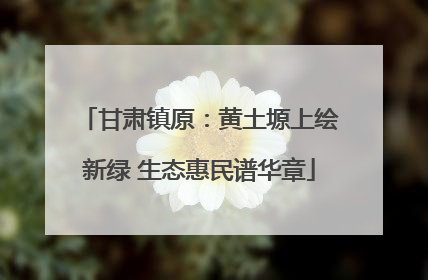 甘肃镇原：黄土塬上绘新绿 生态惠民谱华章