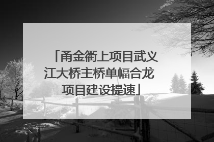 甬金衢上项目武义江大桥主桥单幅合龙 项目建设提速