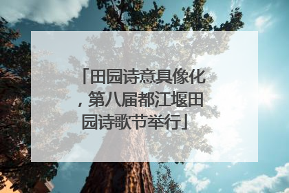 田园诗意具像化，第八届都江堰田园诗歌节举行