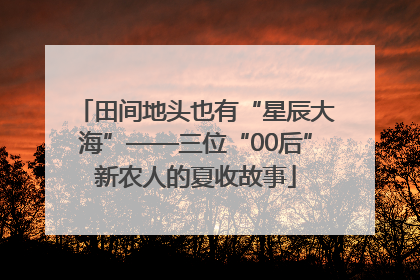田间地头也有“星辰大海”——三位“00后”新农人的夏收故事