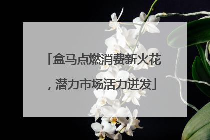 盒马点燃消费新火花，潜力市场活力迸发