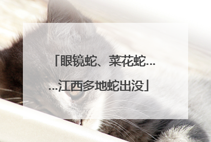 眼镜蛇、菜花蛇……江西多地蛇出没