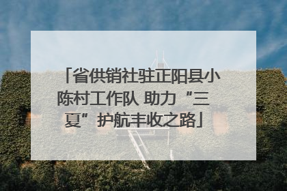 省供销社驻正阳县小陈村工作队 助力“三夏”护航丰收之路
