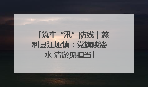 筑牢“汛”防线｜慈利县江垭镇：党旗映溇水 清淤见担当