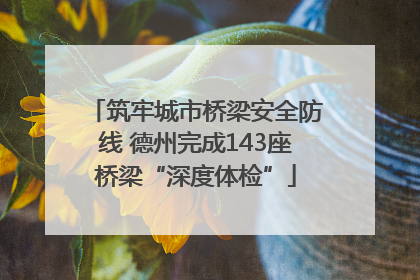 筑牢城市桥梁安全防线 德州完成143座桥梁“深度体检”