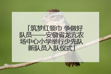 筑梦红领巾 争做好队员——安徽省龙亢农场中心小学举行少先队新队员入队仪式