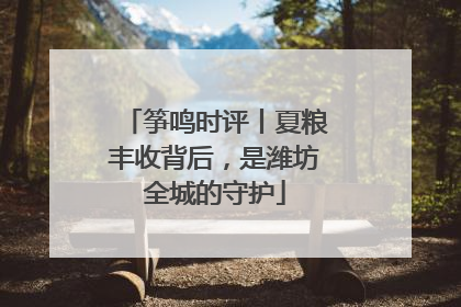 筝鸣时评丨夏粮丰收背后，是潍坊全城的守护