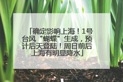 确定影响上海！1号台风“蝴蝶”生成，预计后天登陆！周日前后上海有明显降水