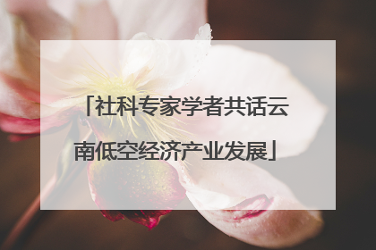 社科专家学者共话云南低空经济产业发展