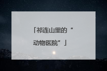 祁连山里的“动物医院”