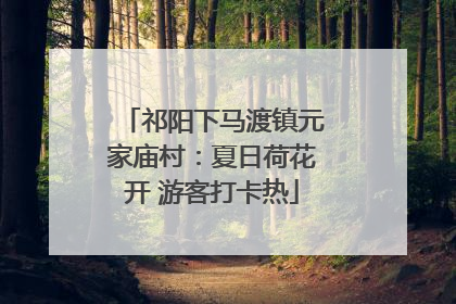 祁阳下马渡镇元家庙村：夏日荷花开 游客打卡热