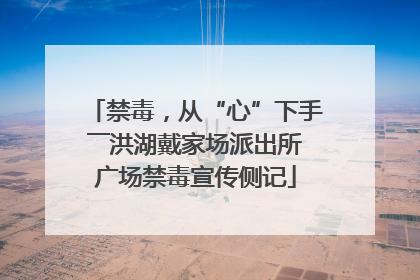 禁毒，从“心”下手――洪湖戴家场派出所广场禁毒宣传侧记