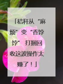 秸秆从“麻烦”变“香饽饽” 打捆回收这波操作太赚了！