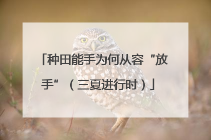 种田能手为何从容“放手”（三夏进行时）