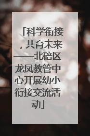 科学衔接，共育未来——北碚区龙凤教管中心开展幼小衔接交流活动