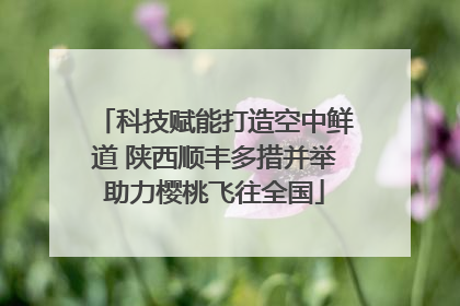 科技赋能打造空中鲜道 陕西顺丰多措并举助力樱桃飞往全国