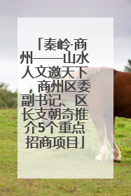 秦岭·商州——山水人文邀天下，商州区委副书记、区长支朝奇推介5个重点招商项目