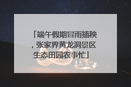 端午假期冒雨插秧，张家界黄龙洞景区生态田园农事忙