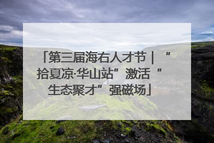 第三届海右人才节｜“拾夏凉·华山站”激活“生态聚才”强磁场