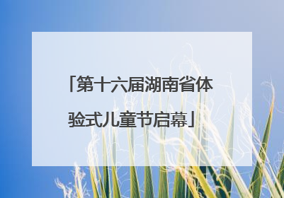 第十六届湖南省体验式儿童节启幕