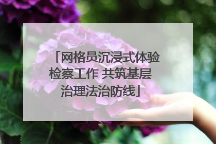 网格员沉浸式体验检察工作 共筑基层治理法治防线