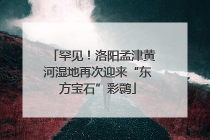 罕见！洛阳孟津黄河湿地再次迎来“东方宝石”彩鹮