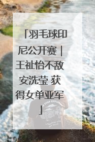 羽毛球印尼公开赛｜王祉怡不敌安洗莹 获得女单亚军