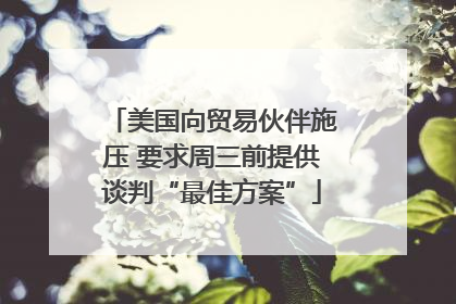 美国向贸易伙伴施压 要求周三前提供谈判“最佳方案”