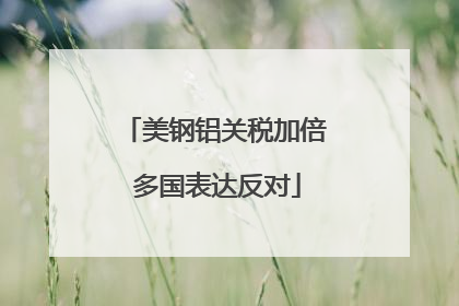 美钢铝关税加倍 多国表达反对