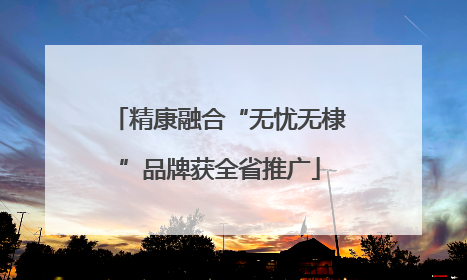 精康融合“无忧无棣”品牌获全省推广