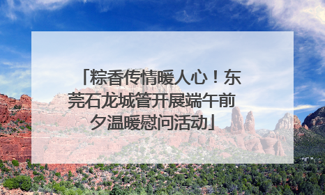 粽香传情暖人心！东莞石龙城管开展端午前夕温暖慰问活动