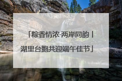 粽香情浓·两岸同韵丨湖里台胞共迎端午佳节