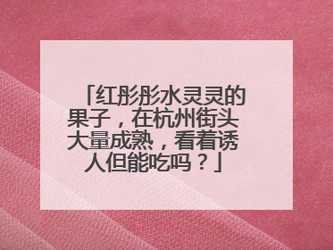 红彤彤水灵灵的果子，在杭州街头大量成熟，看着诱人但能吃吗？