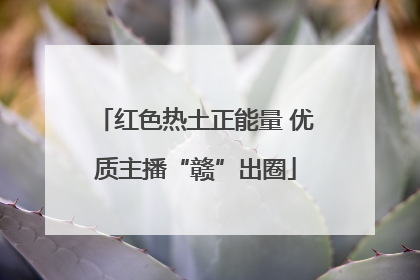 红色热土正能量 优质主播“赣”出圈