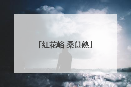 红花峪 桑葚熟