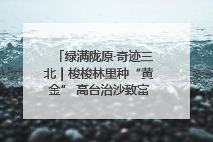 绿满陇原·奇迹三北｜梭梭林里种“黄金” 高台治沙致富很“从容”
