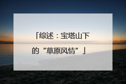 综述：宝塔山下的“草原风情”