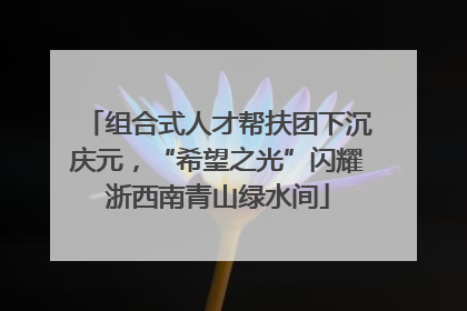 组合式人才帮扶团下沉庆元，“希望之光”闪耀浙西南青山绿水间