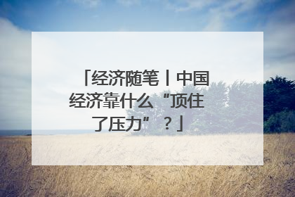 经济随笔丨中国经济靠什么“顶住了压力”？