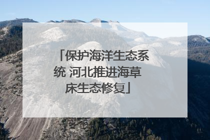 保护海洋生态系统 河北推进海草床生态修复