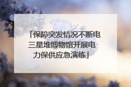 保障突发情况不断电 三星堆博物馆开展电力保供应急演练