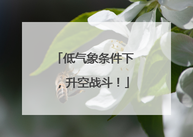 低气象条件下，升空战斗！