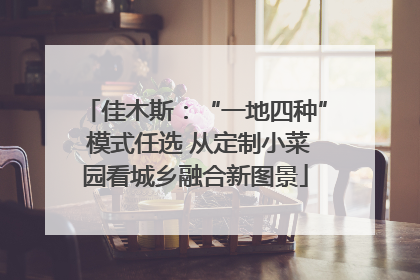 佳木斯：“一地四种” 模式任选 从定制小菜园看城乡融合新图景