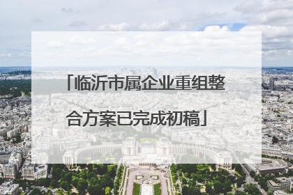临沂市属企业重组整合方案已完成初稿