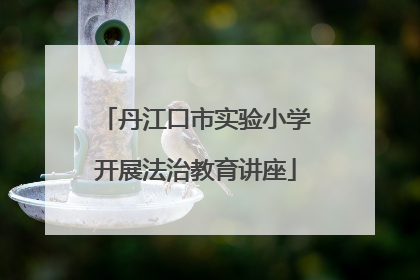 丹江口市实验小学开展法治教育讲座