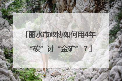 丽水市政协如何用4年“碳”讨“金矿”？
