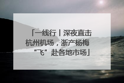 一线行丨深夜直击杭州机场，浙产杨梅“飞”赴各地市场
